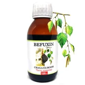 Zioła - Czaga Befuxin Ekstrakt 1:5 czarnej huby brzozowej 120ml (Aram) - miniaturka - grafika 1