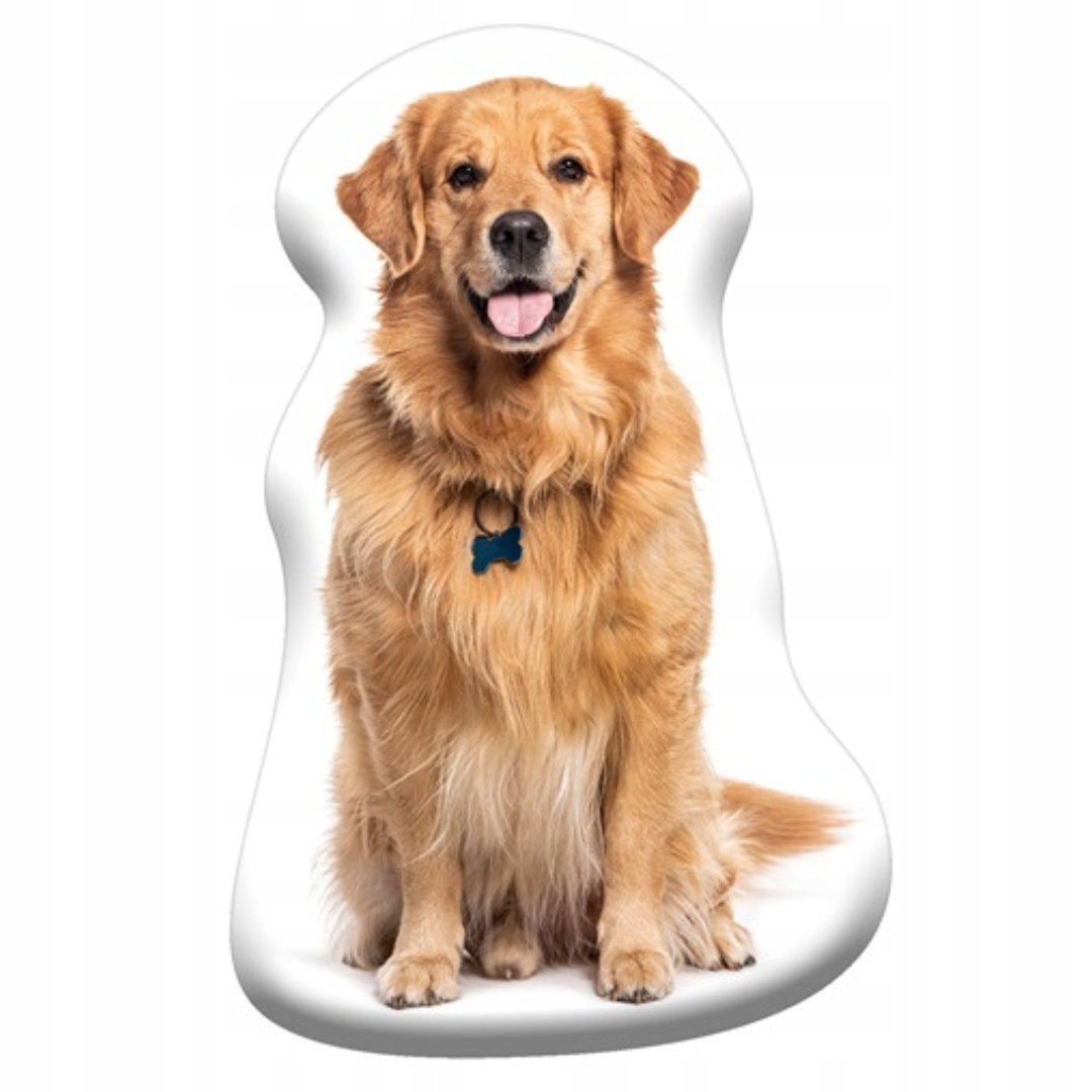 Poduszka Pies Golden Retriever z Mikrofibry Dekoracyjna do Pokoju