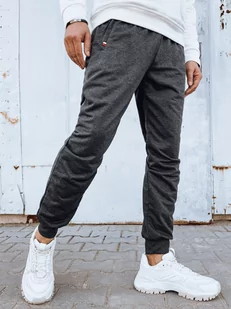 Spodnie męskie dresowe joggery ciemnoszare Dstreet UX4120-2XL/3XL - Spodnie męskie - miniaturka - grafika 1