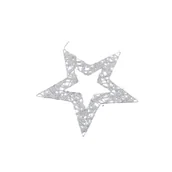 Oświetlenie świąteczne - Gwiazda 15 LED ciepły biały 30 cm srebrny - miniaturka - grafika 1