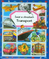 Ezoteryka - Transport Świat w obrazkach. - Émilie Beaumont - książka - miniaturka - grafika 1