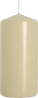 Świece - Bispol Świeca walec 20H 10CM SW50/100 KREMOWA BISPOL1209 - miniaturka - grafika 1