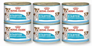 Royal Canin bytówka Starter Mousse Mother&amp;Babydog 6x195g puszka - Mokra karma dla psów - miniaturka - grafika 1