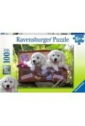Ravensburger Puzzle Podróżujące Szczeniaczki 100 105380 - Puzzle - miniaturka - grafika 2