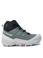 Buty trekkingowe damskie - Salomon Trekkingi Crosstrak Waterproof L47570400 Zielony - miniaturka - grafika 1