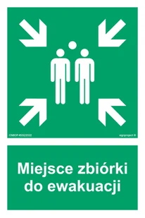 AF007 MIEJSCE ZBIÓRKI DO EWAKUACJI, FS - FOLIA SAMOPRZYLEPNA FOTOLUMINESCENCYJNA; (150X225MM) - Systemy ekspozycyjne i znaki informacyjne - miniaturka - grafika 1