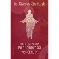 Religia i religioznawstwo - Krótki przewodnik po duchowości wspólnoty - miniaturka - grafika 1