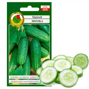 OGÓREK POD OSŁONY WCZESNY MONIKA NASIONA BEZ GMO - Nasiona i cebule - miniaturka - grafika 1