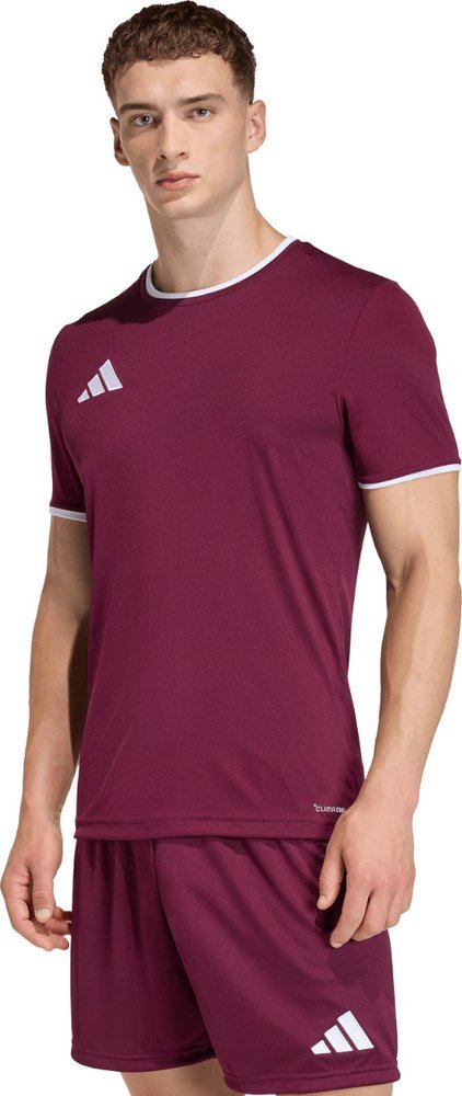 Adidas Koszulka męska adidas Entrada 26 Jersey bordowa JZ2507 XL