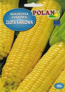 Kukurydza cukrowa Złota Karłowa 20 g POLAN - Nasiona i cebule - miniaturka - grafika 1
