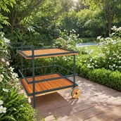 Stoły ogrodowe - Wózek dwupoziomowy na kółkach 57 x 89 cm - miniaturka - grafika 1