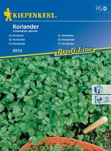 Kolendra 8519 (St) - Nasiona i cebule - miniaturka - grafika 1