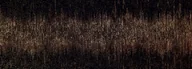 Płytki ceramiczne - Dekor Tubądzin Stardust Black 32,8x89,8 - miniaturka - grafika 1