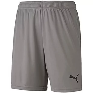 Puma chłopięcy Teamgoal 23 dzianinowe szorty Jr dzianinowe szorty Steel Gray 128 704263 - Spodnie i spodenki dla chłopców - miniaturka - grafika 1