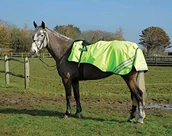 Akcesoria jeździeckie - Rhinegold Wodoodporny Cutaway Ride On Rug-Pony-Jasnożółty - miniaturka - grafika 1