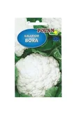Nasiona i cebule - Kalafior Bora 10 g Polan - miniaturka - grafika 1