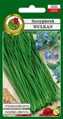 Nasiona i cebule - Szczypiorek Wulkan 1 g PNOS - miniaturka - grafika 1