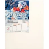 Podobrazia, bloki, papiery - Astra Podobrazie Artea (60 x 80 cm) - miniaturka - grafika 1