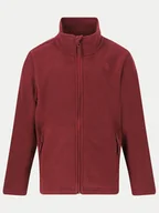 Odzież trekkingowa dziecięca - ZigZag Polar Zap Fleece Z211077 Fioletowy Regular Fit - miniaturka - grafika 1