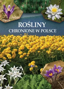 Rośliny chronione w Polsce - Opracowanie zbiorowe - Atlasy i mapy - miniaturka - grafika 1