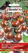 Nasiona i cebule - NASIONA Pomidor Koktajlowy Black Cherry 0,2g PLANTICO Do Sałatek 405639 - miniaturka - grafika 1