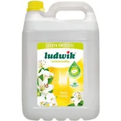 Środki do kuchni i łazienki - Inco-Varitas Płyn uniwersalny Ludwik mydło marsylskie 5l - miniaturka - grafika 1