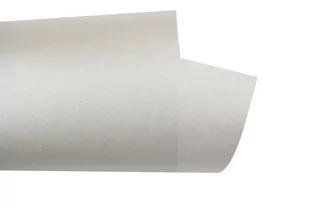 Papier ozdobny perłowy Motylki 20 ark A4 nr 6 220 g/m2 - Druki akcydensowe - miniaturka - grafika 1