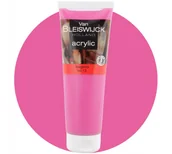 Farby i media malarskie - Farba Akrylowa Różowa 250 Ml Van Bleiswijck Farbka - miniaturka - grafika 1