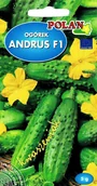 Nasiona i cebule - Ogórek Gruntowy Andrus - Mieszaniec Nasiona 5g Polan - miniaturka - grafika 1