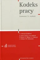 Prawo - Kodeks pracy. Komentarz - miniaturka - grafika 1