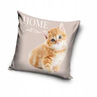 Pościel dla dzieci - Poszewka na poduszkę 40x40 kot MUNCHKIN - miniaturka - grafika 1