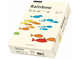 Schneider PAPYRUS Rainbow 88042257 papier uniwersalny, gramatura 160 g/m, A4, 250 kartek, kolor jasny chamois 88042257 - Papier do drukarek - miniaturka - grafika 1
