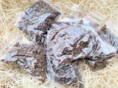 Miód - Pierzga pszczela 100g tegoroczna - miniaturka - grafika 1