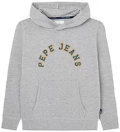 Bluzy dla chłopców - Pepe Jeans Chłopięca bluza z kapturem Nate, Szary (szary Marl), 14 Lat - miniaturka - grafika 1