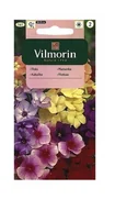 Nasiona i cebule - Floks wielkokwiatowy mix 1 g Vilmorin - miniaturka - grafika 1