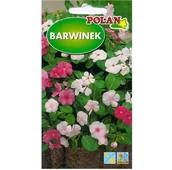 Nasiona i cebule - BARWINEK mniejszy mieszanka kolorów nasiona 0,2g - miniaturka - grafika 1