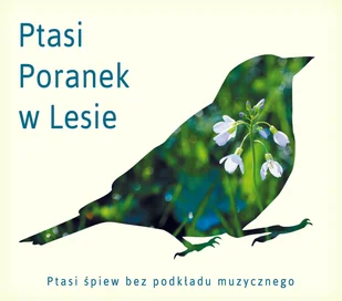 Soliton Ptasi poranek w lesie - Muzyka relaksacyjna - miniaturka - grafika 8