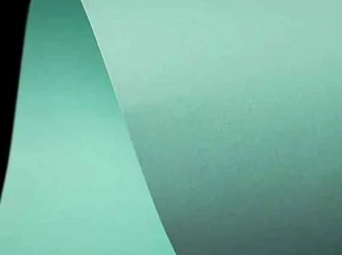 Vida Paper Jasny zielony, gładki papier offsetowy. , 270 g/m3, 64x92cm, Kaskad Leafbird Green. Karton ozdobny, 1 arkusz - Akcesoria do reklamy - miniaturka - grafika 1