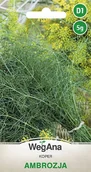 Nasiona i cebule - Koper Ogrodowy Ambrozja 5g nasiona - WegAna - miniaturka - grafika 1