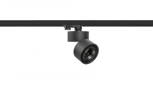 Azzardo COSTA AZ4549 reflektor szynowy 1x12W/LED IP20 890lm AZ4549 - Lampy pozostałe - miniaturka - grafika 1