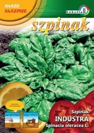 Nasiona i cebule - Szpinak Industra 10g / L / - miniaturka - grafika 1