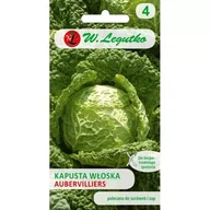 Nasiona i cebule - Legutko Kapusta włoska Aubervillers 1g st - miniaturka - grafika 1