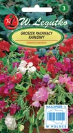 Nasiona i cebule - Legutko Groszek pachnący 3g mieszanka karłowata - miniaturka - grafika 1