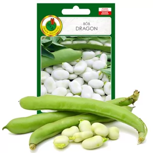 BÓB WCZESNY DRAGON PLENNY NASIONA BEZ GMO - Nasiona i cebule - miniaturka - grafika 1