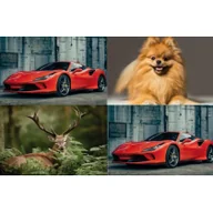 Kalendarze - Kalendarz 2023 Trójdzielny wypukła główka MIX - Pan Kalendarzyk - miniaturka - grafika 1