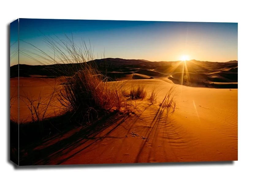 Sahara Trawy - obraz na płótnie Wymiar do wyboru: 100x70 cm