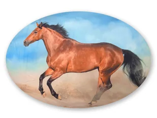 Poduszka dekoracyjna 40x30 cm - brązowy koń - Poduszki dekoracyjne - miniaturka - grafika 1