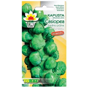 KAPUSTA BRUKSELKA CASIOPEA 2g Toraf - Nasiona i cebule - miniaturka - grafika 1