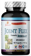 Stawy, mięśnie, kości - Sewanti Suplement diety Joint Flex 450 mg na stawy 90 kaps. - miniaturka - grafika 1