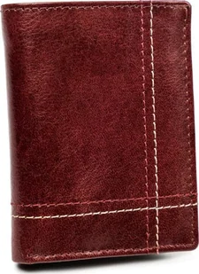 Always Wild Mały portfel dla mężczyzny Always Wild skórzany - Portfele - miniaturka - grafika 1